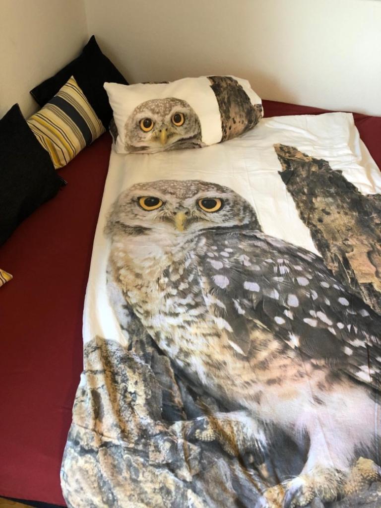 Ferienwohnung Eulennestle Lenzkirch Exteriör bild